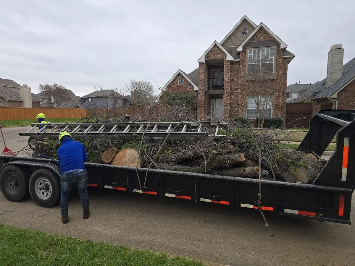 Expert Tree Fertilization with proper safety equipment in Rockford